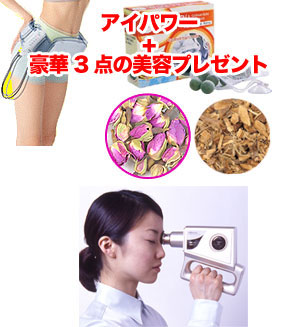 �A�C�p���[ �d�����u���V�v���[���g